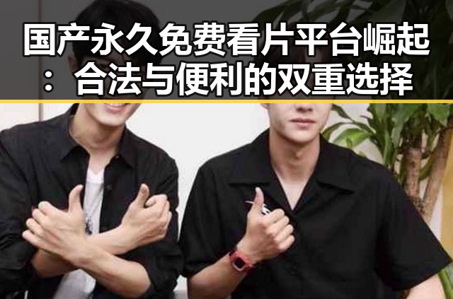 国产永久免费看片平台崛起：合法与便利的双重选择