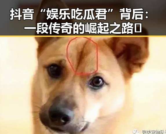 黑料社每天为你带来最新爆料与吃瓜热点